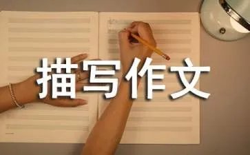 场面描写作文