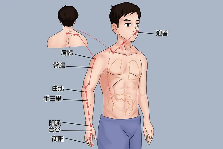 手腕上经络的准确位置图