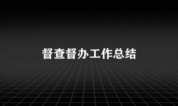 督查督办工作总结