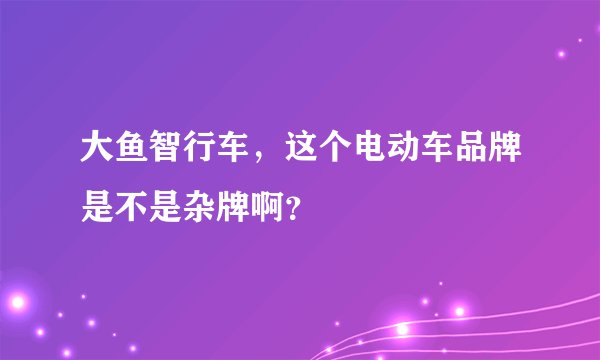 大鱼智行车，这个电动车品牌是不是杂牌啊？