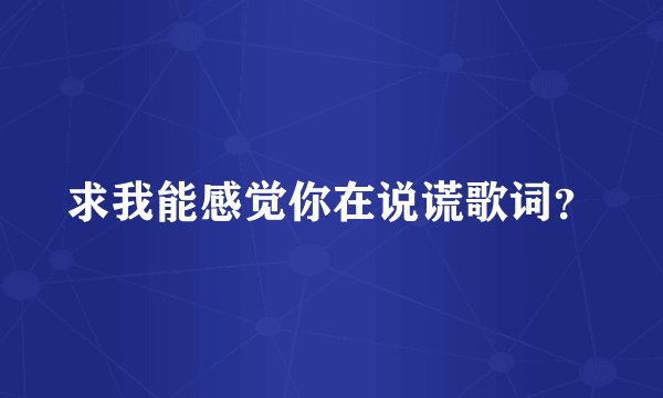 求我能感觉你在说谎歌词？