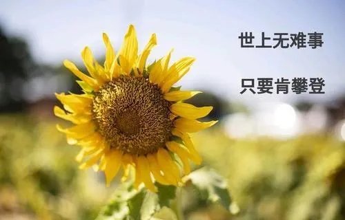 2020最火励志句有哪些？