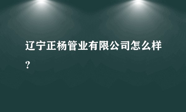 辽宁正杨管业有限公司怎么样？