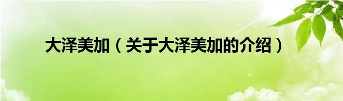 大泽美加（关于大泽美加的介绍）
