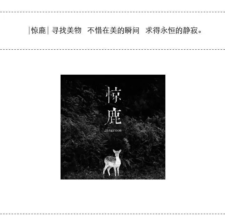 琵~琶~情【中国 传统工艺】