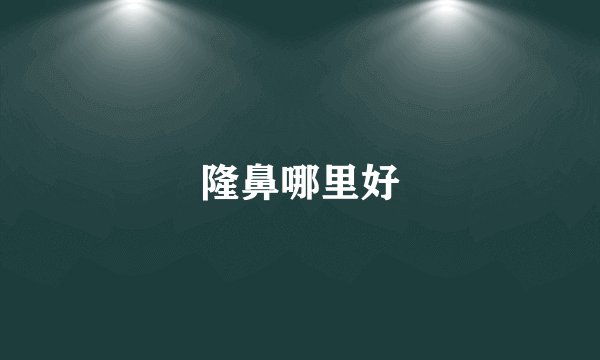 隆鼻哪里好