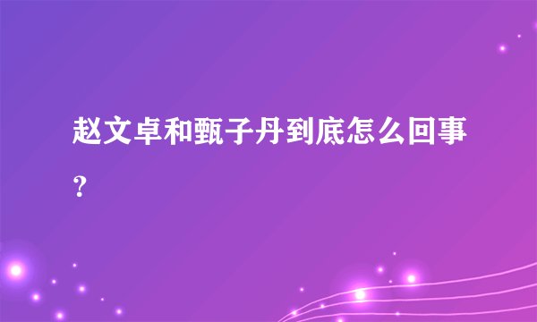 赵文卓和甄子丹到底怎么回事？