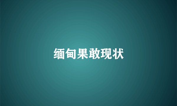 缅甸果敢现状