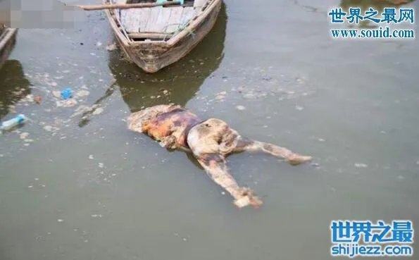 恐怖的印度水葬现场图片，超级重口味(还是别看了) 