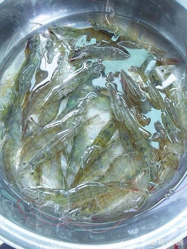 怎么挑选最鲜的海鲜?