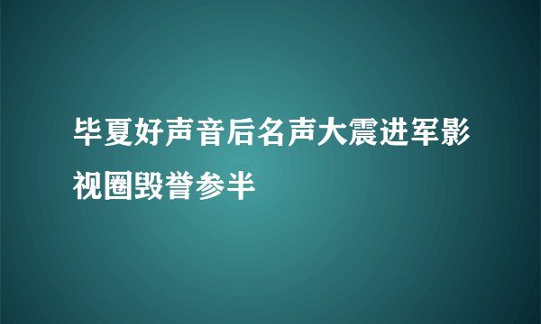 毕夏好声音后名声大震进军影视圈毁誉参半