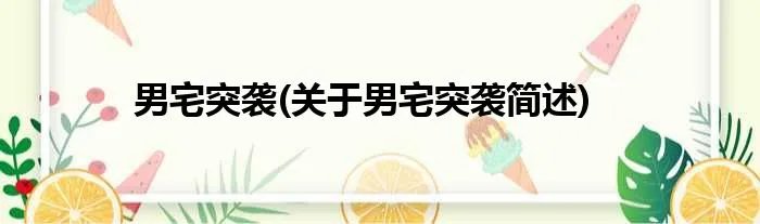 男宅突袭(关于男宅突袭简述)
