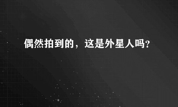 偶然拍到的，这是外星人吗？