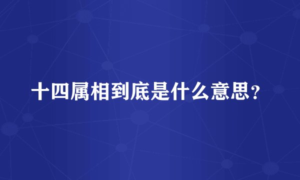 十四属相到底是什么意思？