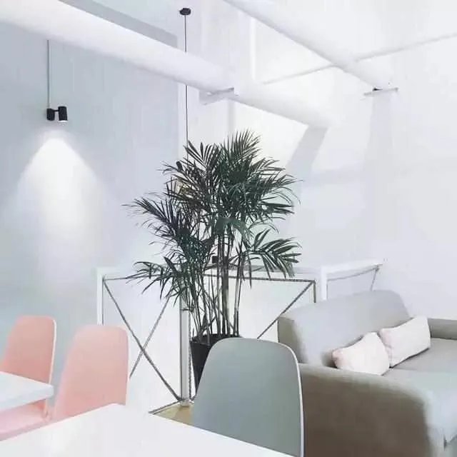武汉有哪些非常值拍照的网红店？