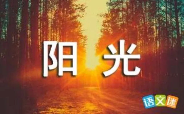 在党的阳光下