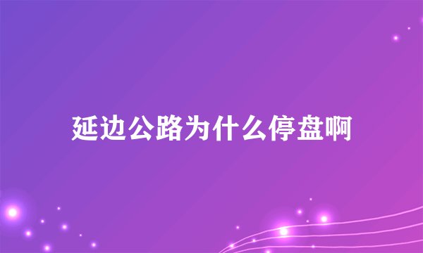 延边公路为什么停盘啊
