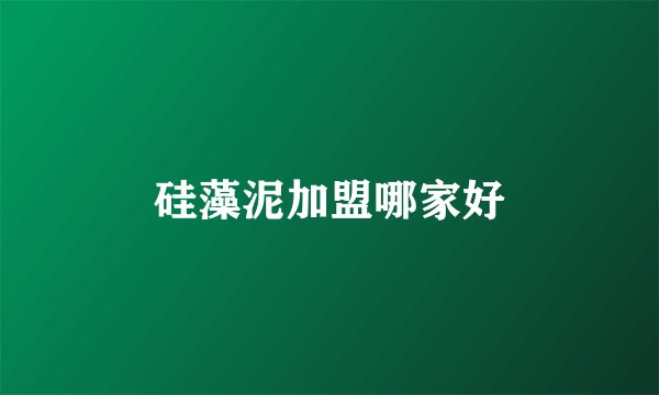 硅藻泥加盟哪家好