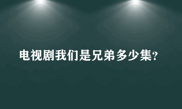 电视剧我们是兄弟多少集？