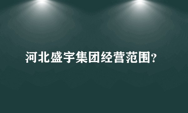 河北盛宇集团经营范围？