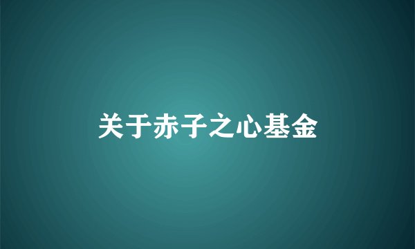 关于赤子之心基金