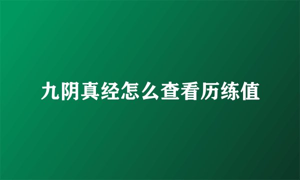 九阴真经怎么查看历练值