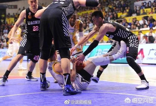 浙江男篮打进总决赛,广厦队的篮球文化已深入人心,对浙江广厦的品牌有何积极提升?