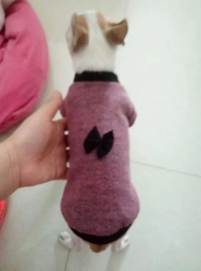 关于禁养中华田园犬(俗称土狗)的内容引发热议对此,你怎么看?