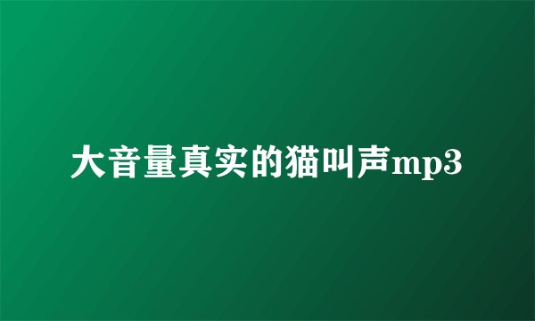 大音量真实的猫叫声mp3