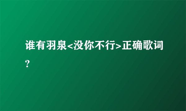 谁有羽泉<没你不行>正确歌词?
