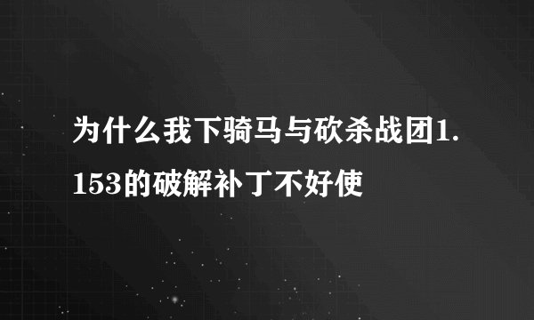 为什么我下骑马与砍杀战团1.153的破解补丁不好使