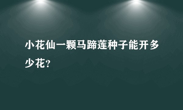 小花仙一颗马蹄莲种子能开多少花？