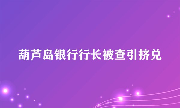 葫芦岛银行行长被查引挤兑