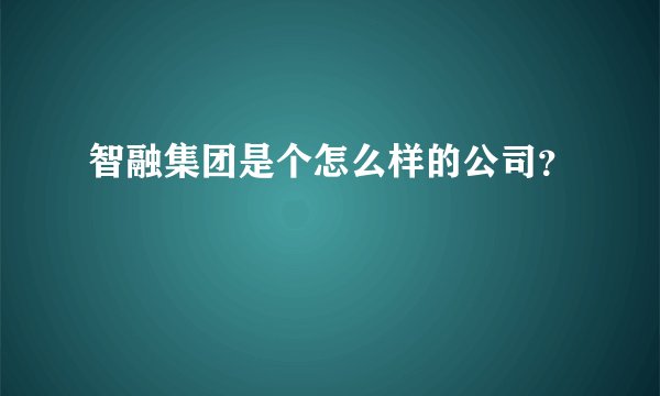智融集团是个怎么样的公司？