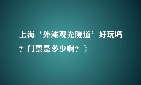 上海‘外滩观光隧道’好玩吗？门票是多少啊？》