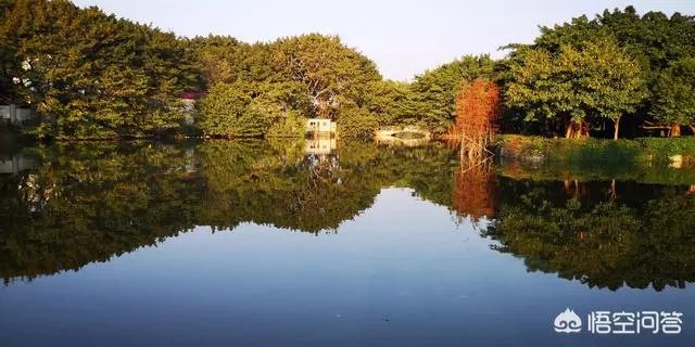 广州流花湖公园好玩嘛？