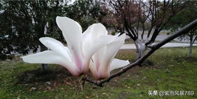 在这个三八妇女节,你对心中的女神最想说什么话?