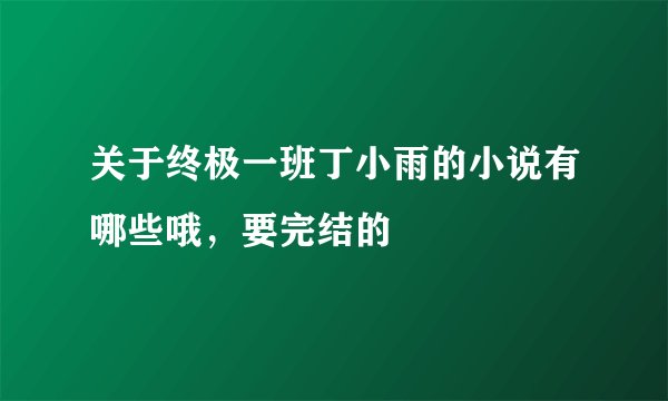 关于终极一班丁小雨的小说有哪些哦，要完结的