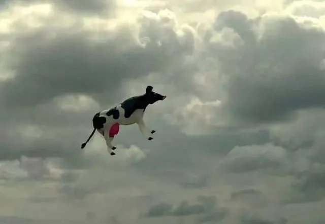 瑞士小镇下起巧克力雨,这是由什么原因引起的?