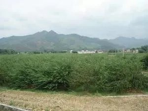 翁源有什么风景区吗？