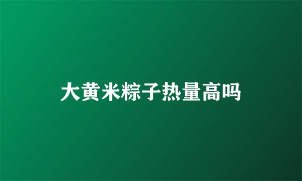 大黄米粽子热量高吗