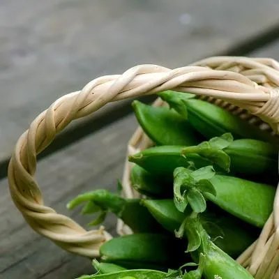 毛孔粗大原因