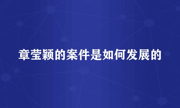 章莹颖的案件是如何发展的