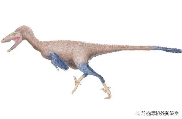 恐龙之最?