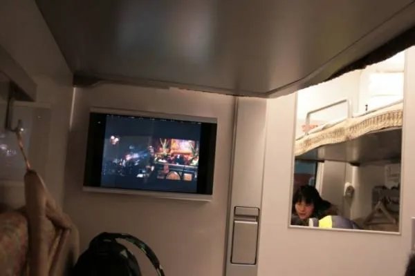 d319的意义