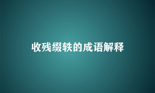 收残缀轶的成语解释