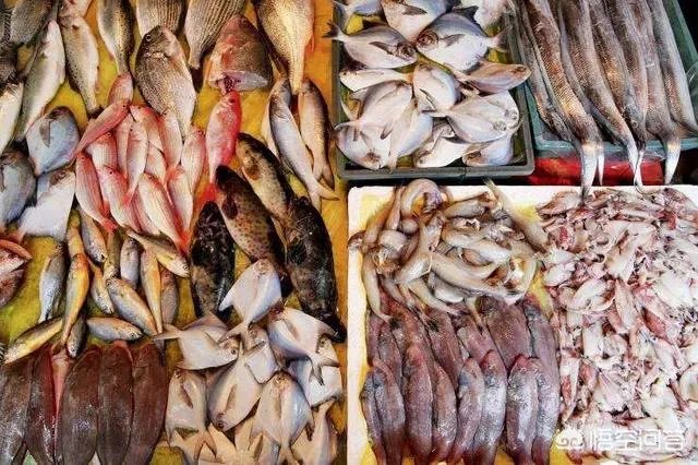 怎么挑选最鲜的海鲜?