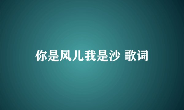 你是风儿我是沙 歌词