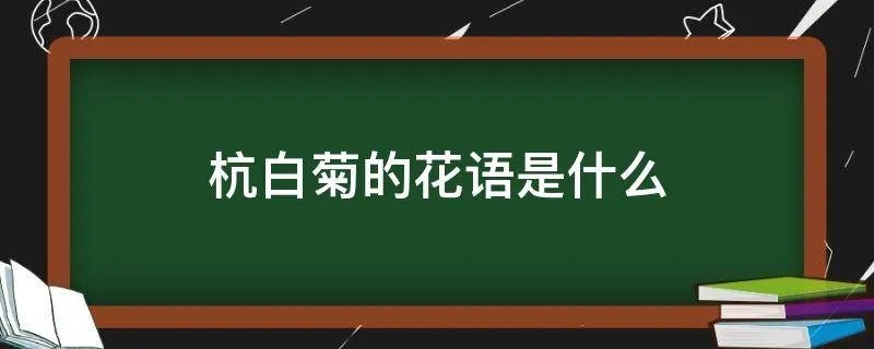 杭白菊的花语是什么