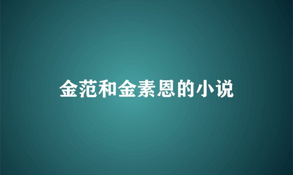 金范和金素恩的小说